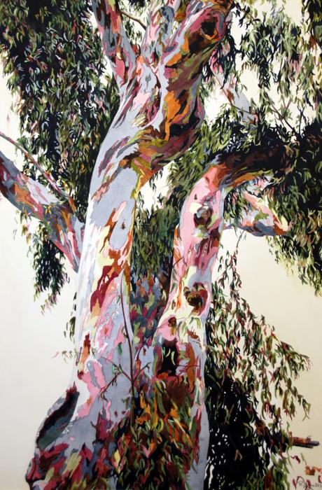 Eucalyptus, Tree, Fallbrook tree